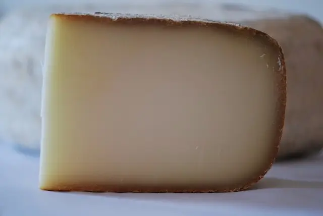 The champion cheese